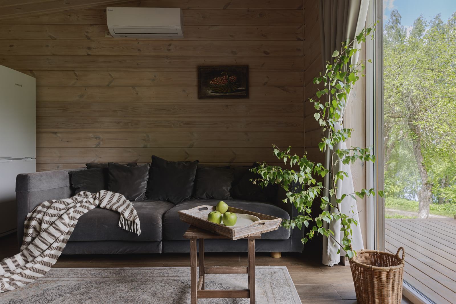 Sofa su pledu ir žaliais obuoliais ant padėklo