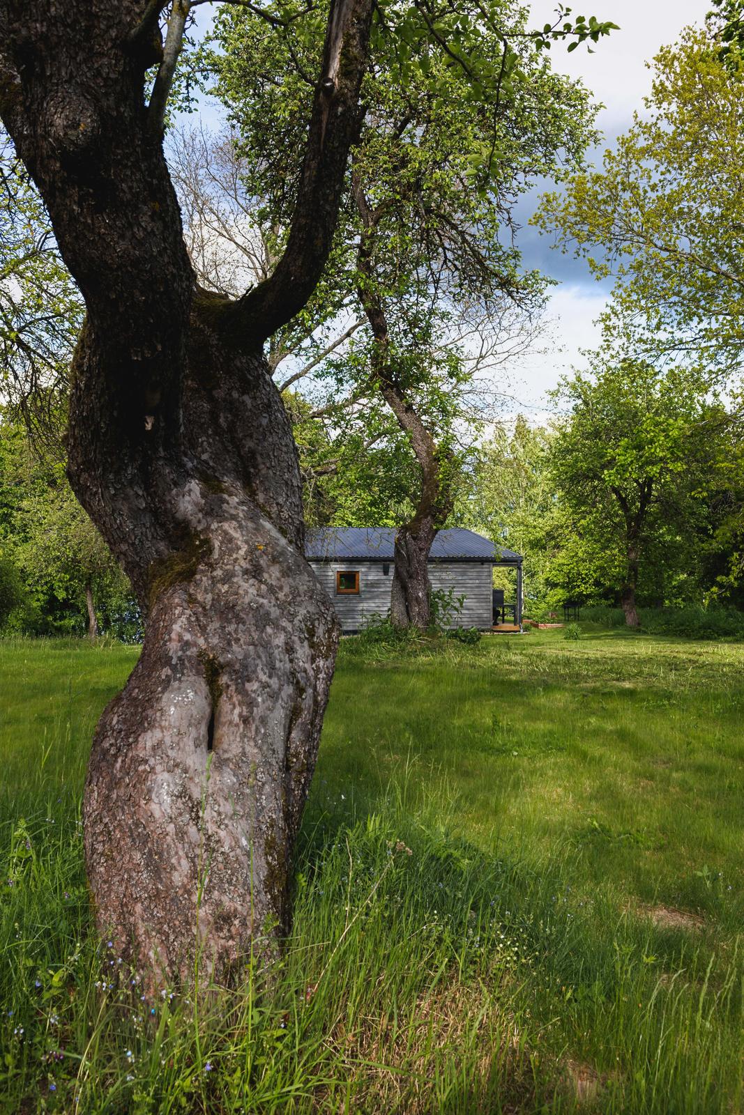 Namas tarp obelų pievoje